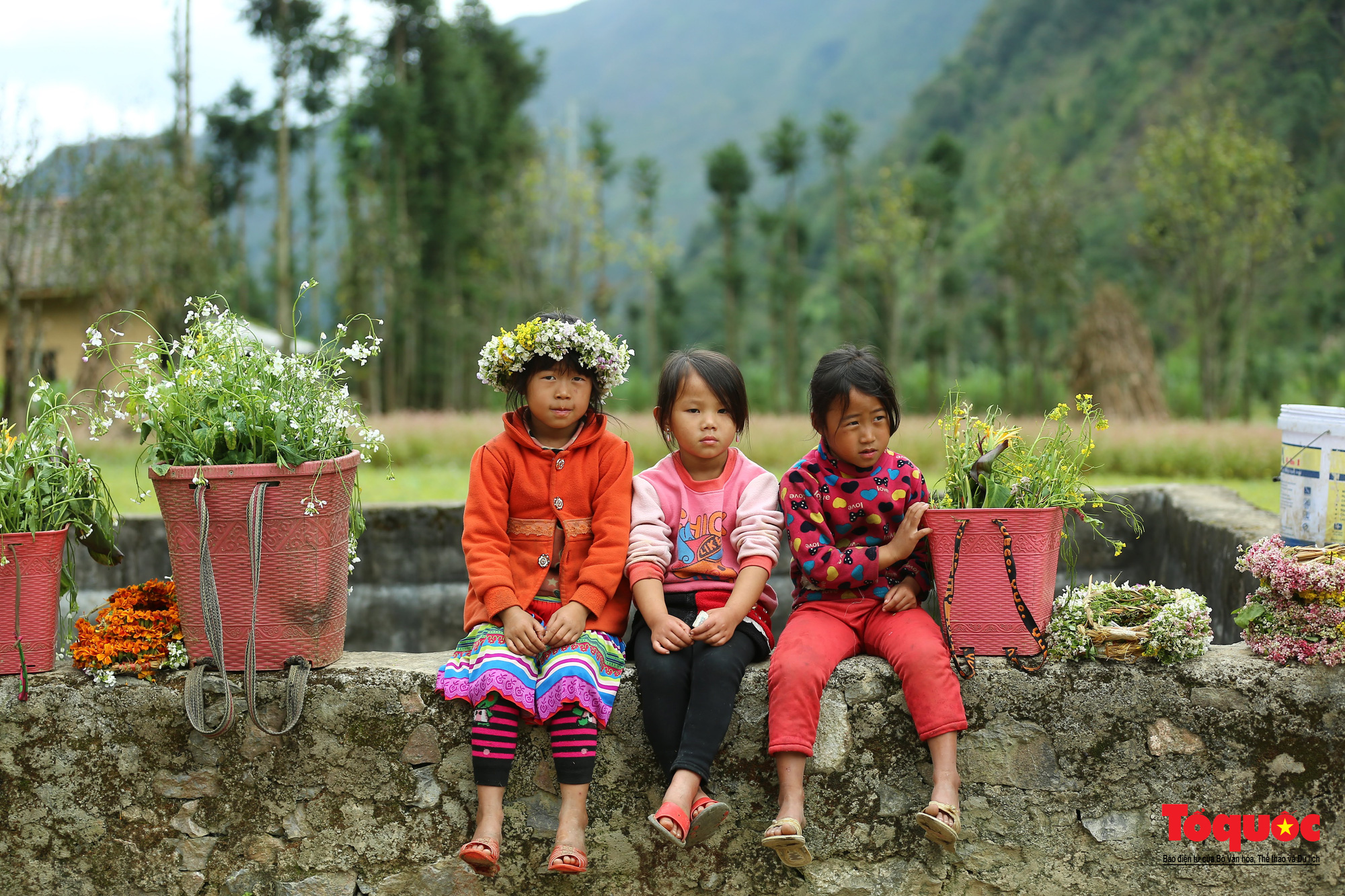 Dự án 4